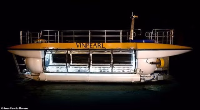 Tau lan Vingroup mua sap ve Viet Nam: Gia dich vu the nao?