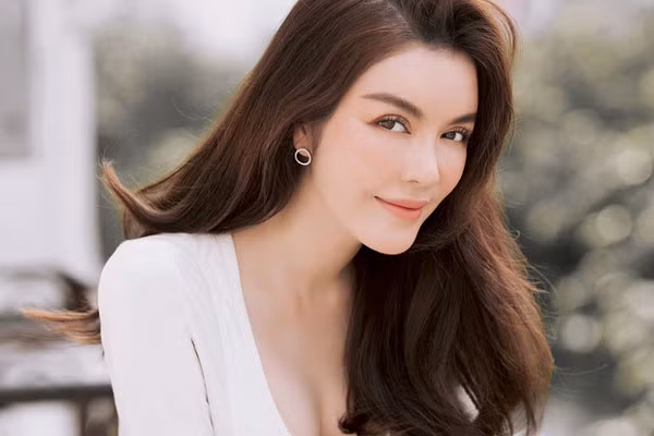 Các công ty của Lý Nhã Kỳ hoạt động cả trong và ngoài nước, mang về nguồn thu không nhỏ. Ảnh: Internet