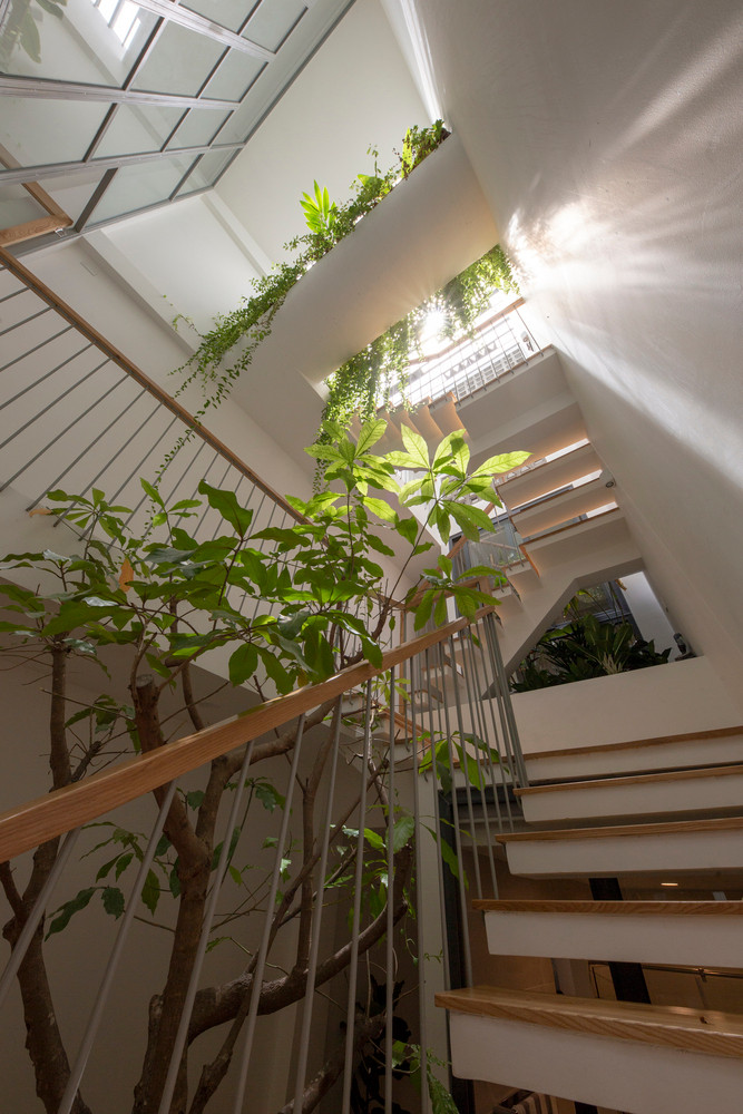 Cây dây leo buông rủ mềm mại, phủ xanh khu vực giếng trời, cầu thang.