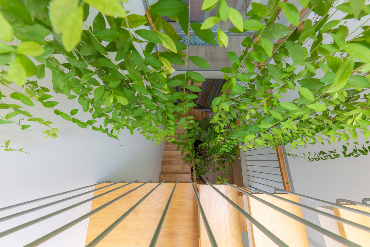 Giếng trời ở trung tâm mang đến nắng gió tự nhiên cho nhà phố.