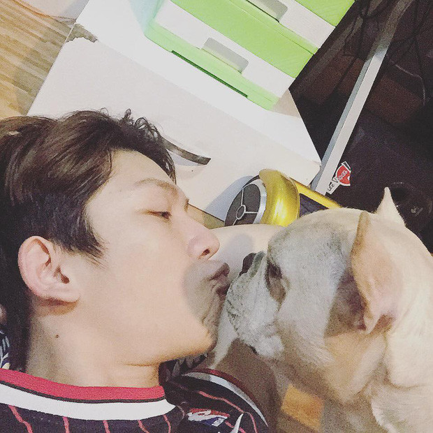 Kelvin Khánh còn có chú cún cưng thuộc dòng "bull Pháp" có giá gần trị gần 2000 USD. Ảnh: FBNV.