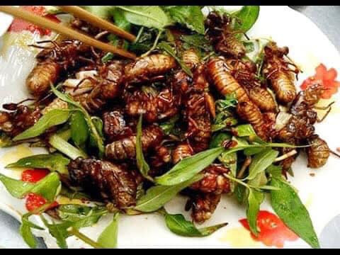 Trong đó, một số loại nấm độc gây nguy hiểm cho người sử dụng. Vì vậy, người ăn các món ăn chế biến từ ve sầu non có thể khiến kí sinh trùng xâm nhập vào cơ thể gây nguy hiểm. Nguồn ảnh: Facebook