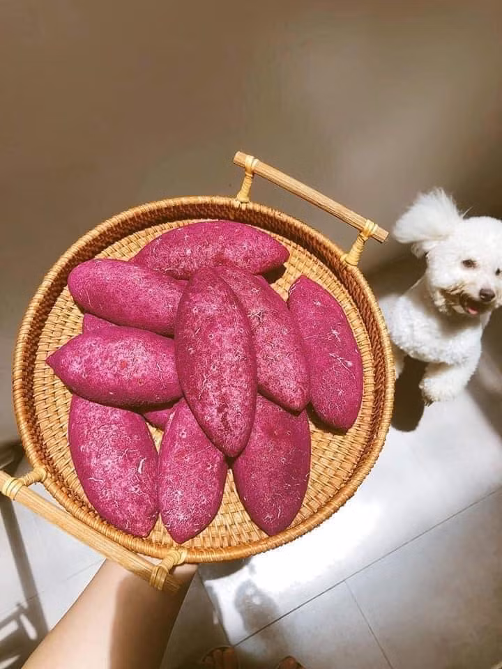 Nói về loại bánh mì độc đáo này, chị Giang (Tây Hồ, Hà Nội) cho biết, bánh mì khoang lang này hấp dân bởi vẻ ngoài bắt mắt.