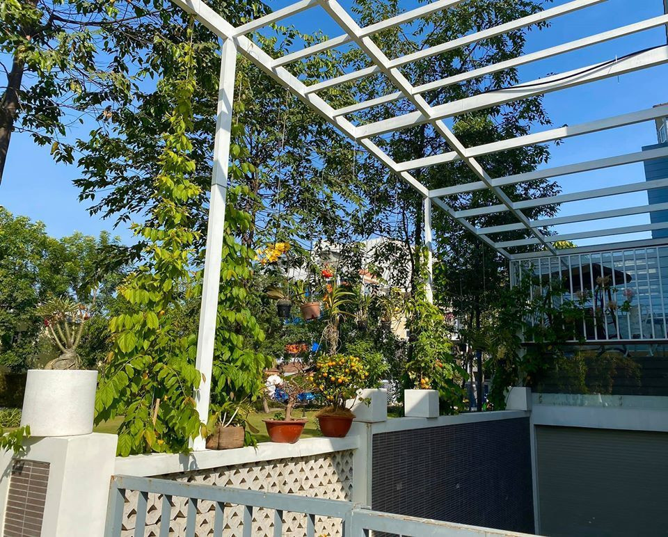 Khuôn viên sân vườn rộng rãi được nghệ sĩ trồng nhiều cây ăn trái và hoa. Ảnh: Vietnamnet.