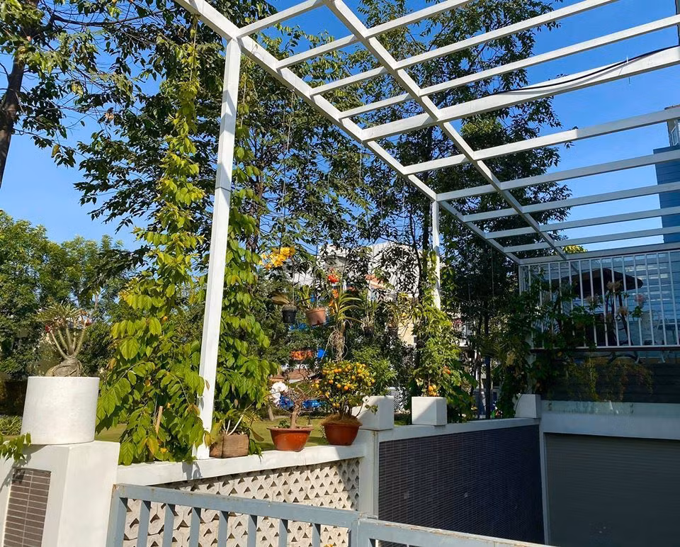 Khuôn viên sân vườn rộng rãi được nghệ sĩ trồng nhiều cây ăn trái và hoa. Ảnh: Vietnamnet.