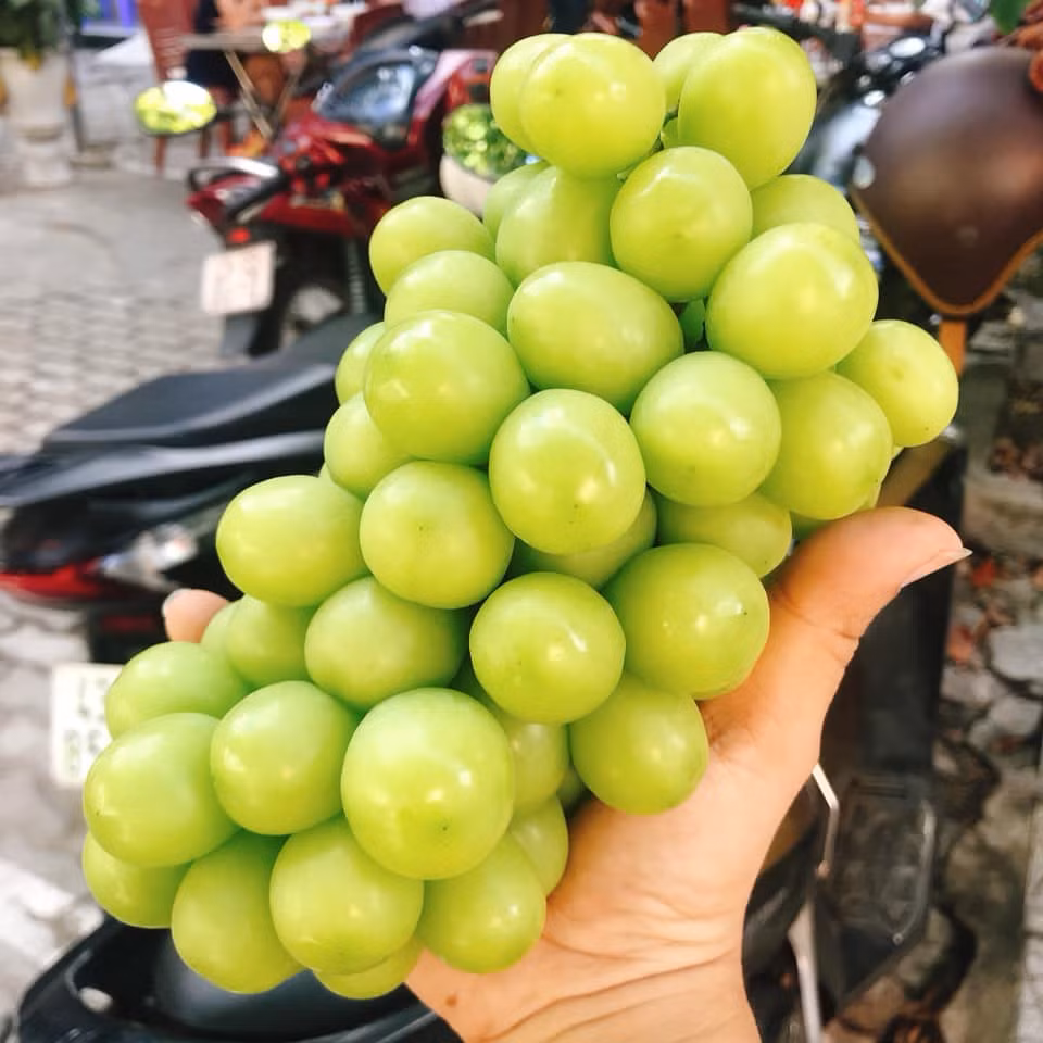Tài khoản Facebook có nickname Diem Hang Phan rao bán nho sữa giống Nhật hàng nội địa Trung Quốc với giá 560.000 đồng/ thùng 2 kg. Khách mua 1kg thì giá 300.000 đồng.