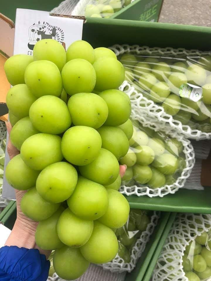 Chị Hoa (Bắc Ninh) cho biết, loại nho này ăn có vị sữa nhưng không thơm và ngọt như nho của Hàn Quốc và Nhật Bản.