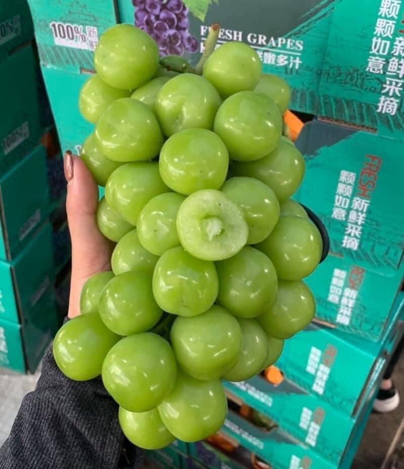 Tin theo lời quảng cáo, nho sữa Trung Quốc thu hút khá nhiều chị em đặt mua.