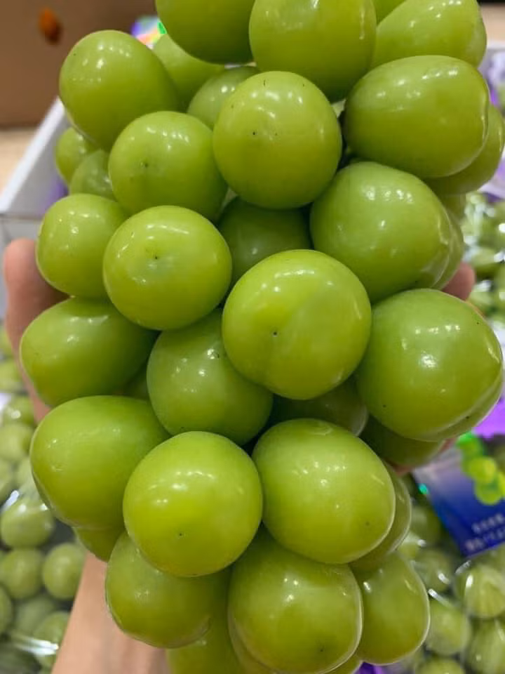 Nho Trung Quốc giòn tan và ngọt thơm.