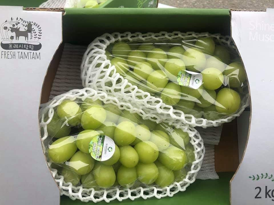 Trong khi đó, chia sẻ trên Dân Việt, chị Đỗ Hải (trú tại Gia Lâm, Hà Nội) nhận định, loại nho sữa Trung Quốc quả nhỏ, ăn chua là hàng xả, hàng loại vì nếu chuẩn nho sữa hàng VIP thì cuống xanh, quả to, ăn ngọt sắc, không hạt và thơm vị sữa.