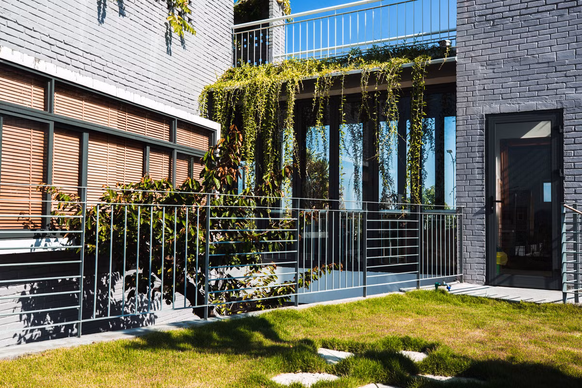 Khoảng sân và giàn cây leo trên mái nhà giúp giảm bớt gió nóng.