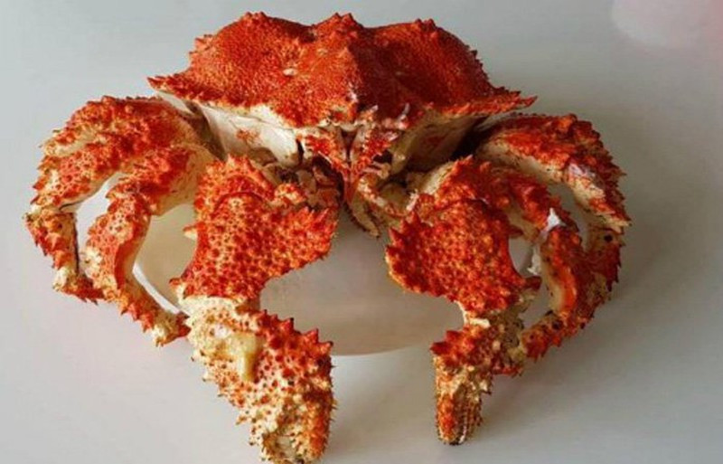 Tại Việt Nam, cua ruby nhập khẩu về có trọng lượng trung bình từ 1,5-3kg/con, giá dao động từ 1,2-1,7 triệu đồng/kg. Tính ra, để có một con cua ruby trong mâm cơm, giới nhà giàu thường phải chi ra vài triệu đồng. Ảnh: Vietnamnet.