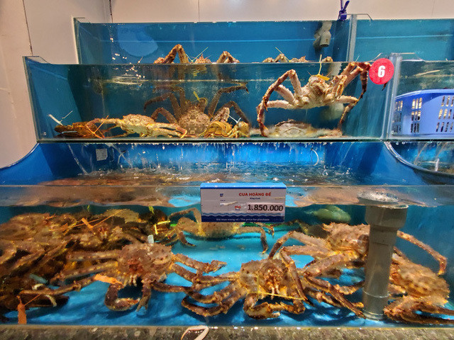 Đầu năm nay, do ảnh hưởng của dịch COVID-19, giá cua hoàng đế tại Việt Nam giảm nhiều hơn so với trước. Theo đó, cua hoàng đế tươi sống nhập khẩu Canada và Mỹ còn 1,7 – 1,8 triệu đồng/kg. Ảnh: Vietnamnet.
