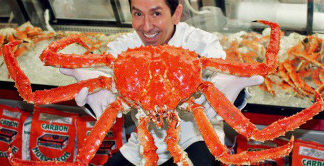 Thời điểm đó, cua hoàng đế Alaska đông lạnh bán tại Việt Nam thường dao động từ 1,2-1,4 triệu đồng/kg, riêng loại cua tươi sống này ở mức 2,5 triệu đồng/kg, tính ra một con cua có giá từ 6-13 triệu đồng. Ảnh: Facebook.