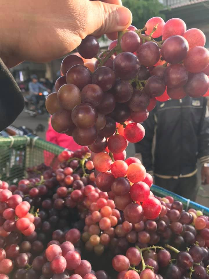 Nhiều chị em công sở chung nhau đặt mua cả thùng để được giá ưu đãi rồi chia mỗi người 1-2kg.