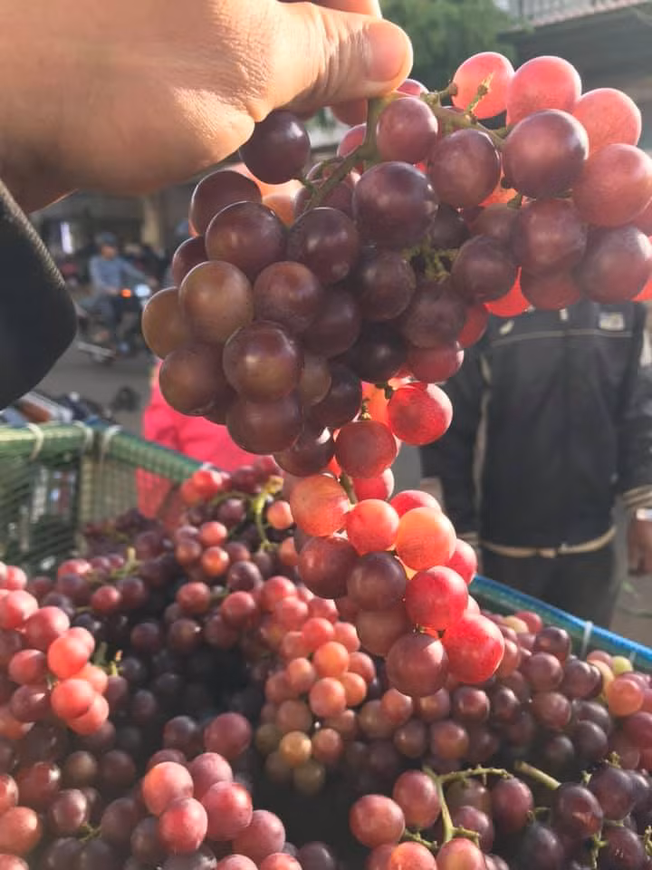 Nhiều chị em công sở chung nhau đặt mua cả thùng để được giá ưu đãi rồi chia mỗi người 1-2kg.