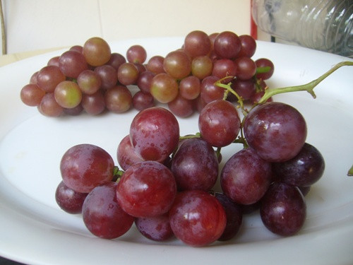 Trái lại, nho đỏ Trung Quốc kích cỡ to gấp đôi nho Ninh Thuận, màu đỏ nhạt và lốm đốm trắng, các chùm nho rời rạc nhau.