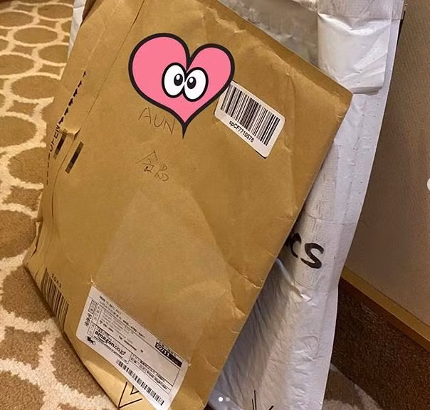 Đặc biệt, gia đình họ vẫn có thể mua hàng online trên Amazon Nhật và các mặt hàng này vừa được chuyển tới phòng họ trên du thuyền.