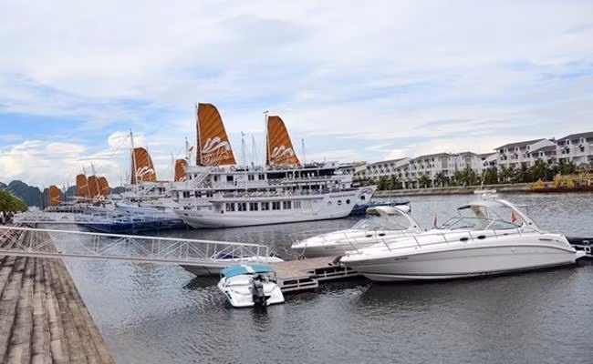 Đại gia Đào Hồng Tuyển - chúa đảo Tuần Châu sở hữu tới 5 chiếc du thuyền, trong đó 3 du thuyền lớn có 17 cabin, 2 du thuyền nhỏ dành cho gia đình. Ảnh: Dân Việt.