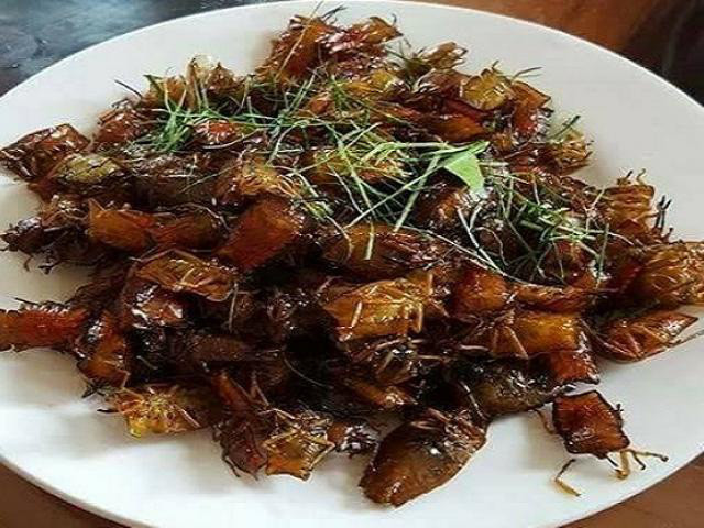 Bọ xít rang là món ăn đặc sản khá độc và lạ ở Sơn La. Thực khách đã thưởng thức món này cho biết bọ xít rang giòn tan trong miệng, có vị ngọt bùi, beo béo hòa cùng cảm giác tê tê. Nguồn ảnh: Internet Video: Kinh hoàng: Ăn tiết canh vịt giữa dịch cúm. Nguồn: VTC