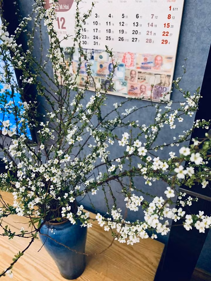 Trên thị trường tuyết mai trắng có giá dao động từ 190.000 - 250.000 đồng/bó (khoảng 10 cành). Nếu mua tại các chợ đầu mối như chợ hoa Quảng Bá, chợ Long Biên...thì tuyết mai còn rẻ hơn nữa.