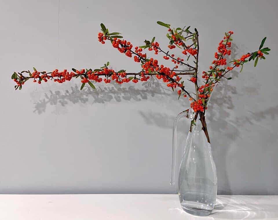 Những cành hồng gai cũng được hội chị em lùng mua về chơi Tết. Hồng gai có nguồn gốc từ Trung Quốc, mùa hoa kéo dài từ tháng 11 đến khoảng tháng 3 năm sau.