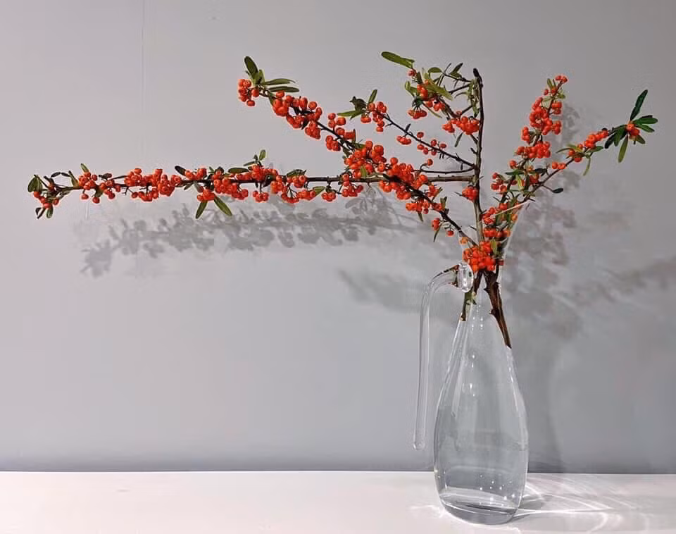 Những cành hồng gai cũng được hội chị em lùng mua về chơi Tết. Hồng gai có nguồn gốc từ Trung Quốc, mùa hoa kéo dài từ tháng 11 đến khoảng tháng 3 năm sau.