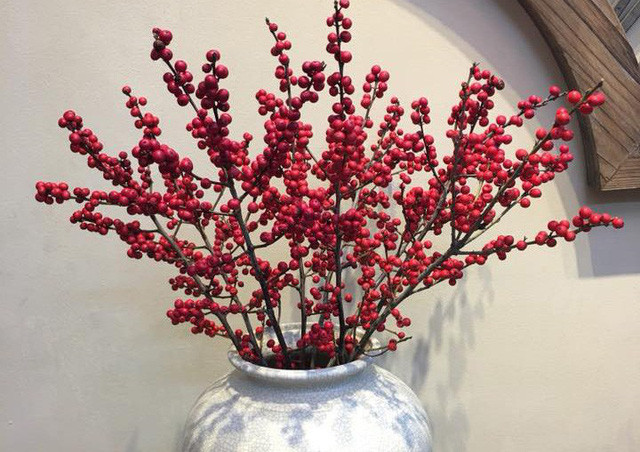 Những cành đào đông đỏ là món phụ kiện trang trí nhà cửa được rất nhiều gia đình ưa chuộng vào dịp cuối năm.