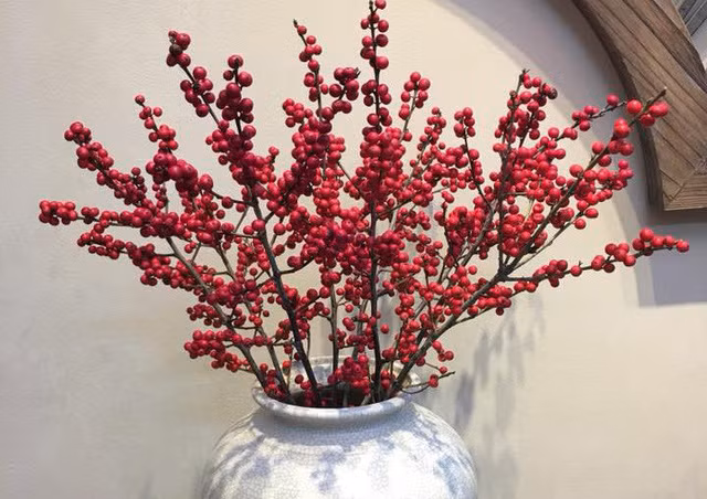 Những cành đào đông đỏ là món phụ kiện trang trí nhà cửa được rất nhiều gia đình ưa chuộng vào dịp cuối năm.