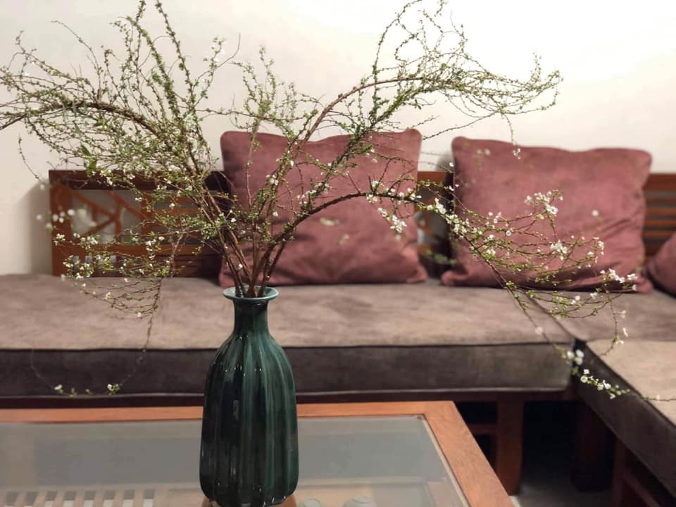 Năm nay, loại hoa nhập khẩu này được bán trước Tết Nguyên đán cả tháng, từ các cửa hàng lớn đến cửa hàng bán lẻ với giá rẻ hơn rất nhiều.