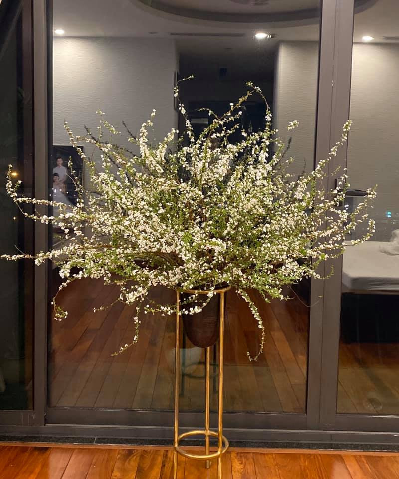 Hoa tuyết mai được ưa chuộng bởi giá không quá đắt lại dễ chăm sóc, chỉ cần để nơi thoáng mát và đủ nước là cành hoa sẽ luôn xanh tốt, chơi được trên 20 ngày.