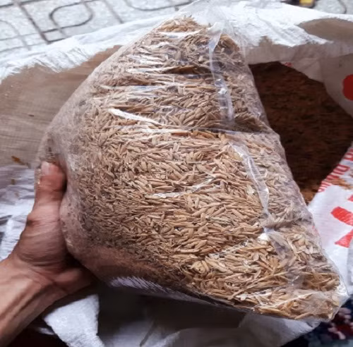 Để tiện cho khách, cửa hàng của anh Quang thường đóng rơm khô và vỏ trấu thành túi 0,5 kg. Ảnh: Shopee.