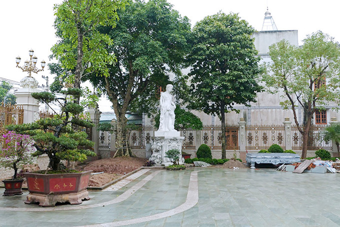 Trong khuôn viên biệt thự trồng nhiều cây cảnh quý hiếm. Ảnh: Vnexpress.