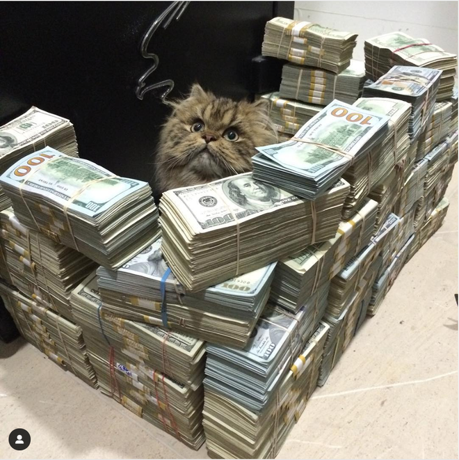 "Núi tiền" là hình ảnh quen thuộc hay được triệu phú Mỹ chia sẻ.