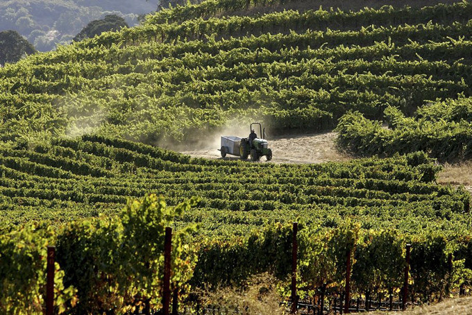 Ngoài ra, hai anh em nhà Wertheimer còn có nhiều điền trang rộng lớn tại thung lũng Loire, Pháp. Ảnh: BI. Video: “Hot girl thị phi” trở thành tỷ phú trẻ nhất thế giới. Nguồn: VTC14