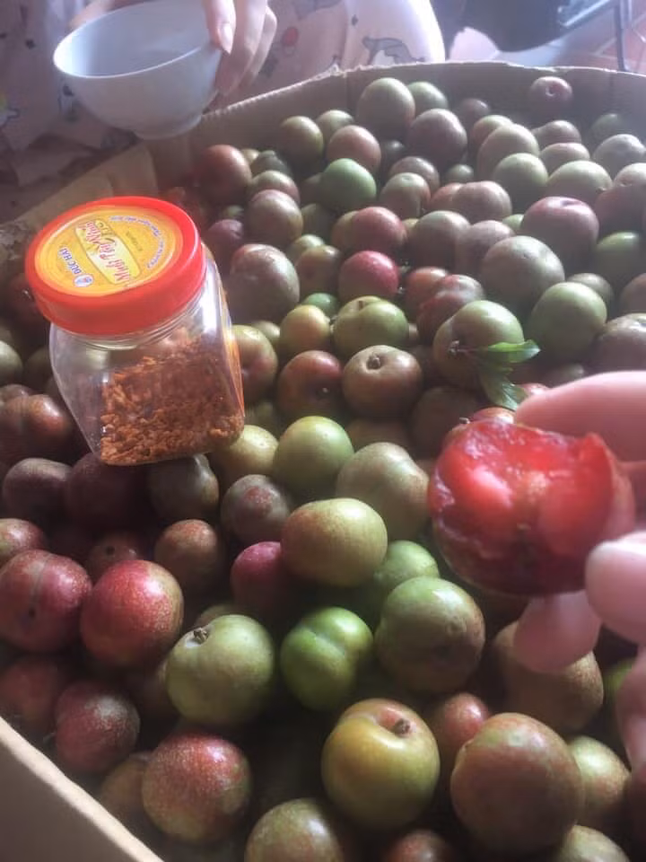 Để phân biệt mận Việt Nam với mận Trung Quốc, người tiêu dùng nên để ý tới hình dáng. Mận của Việt Nam thường là quả nhỏ, không to như mận của Trung Quốc.