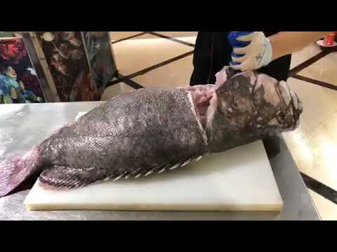 Hiện, giá cá song vang dao động từ 900.000 - 1,5 triệu đồng/kg. Do giá cao và quý hiếm nên loại cá này thường chỉ phục vụ khách đoàn chứ không bán lẻ theo cân. Ảnh: Haisanbiendong.