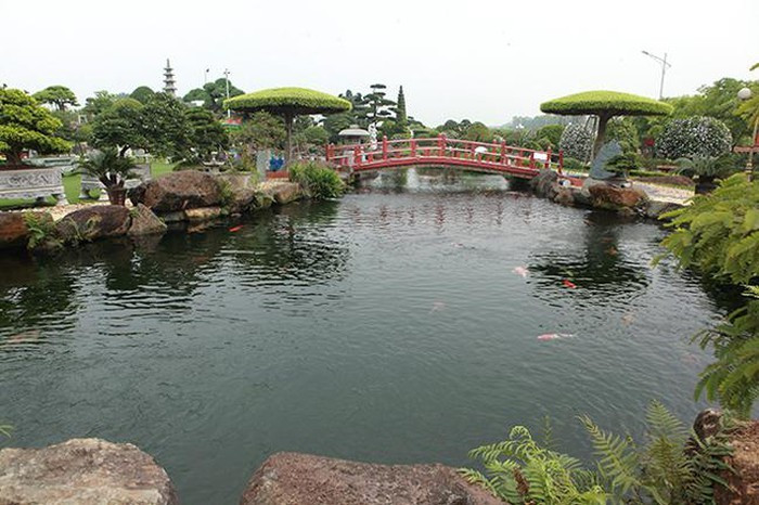 Hồ cá Koi của đại gia Thái Nguyên hình bán nguyệt, chiều dài 65m, chiều rộng chỗ rộng nhất là 25m, chỗ nhỏ tầm 7 – 8m, mực nước luôn luôn để tầm 1,5 – 1,6m. Ảnh: Dân Việt.