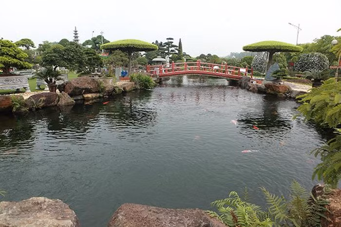 Hồ cá Koi của đại gia Thái Nguyên hình bán nguyệt, chiều dài 65m, chiều rộng chỗ rộng nhất là 25m, chỗ nhỏ tầm 7 – 8m, mực nước luôn luôn để tầm 1,5 – 1,6m. Ảnh: Dân Việt.