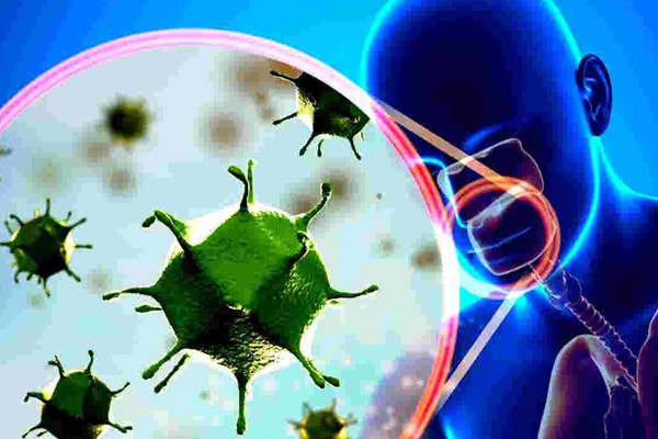 Bên cạnh đó, các tập đoàn lớn như Microsoft, Dell, L’Oreal... cũng đã đóng góp khoảng 1,4 triệu USD cho Hội chữ thập đỏ Trung Quốc cũng như các cơ quan chức năng của tỉnh Hồ Bắc nhằm chống dịch corona.