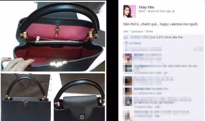 Valentine năm 2014, Thủy Tiên nhận được món quà từ ông xã Công Vinh là chiếc túi hiệu LV Capucines 2013 có giá 5.600 USD (gần 120 triệu đồng).