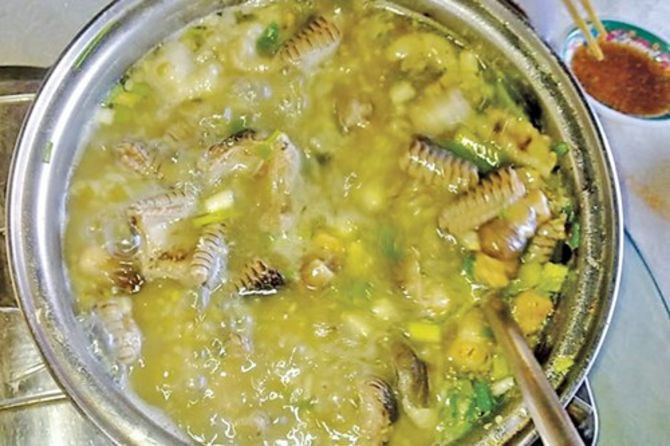 Cháo đậu xanh với thịt rắn hổ đất là món bồi bổ của những gia đình giàu có ở miền Tây.