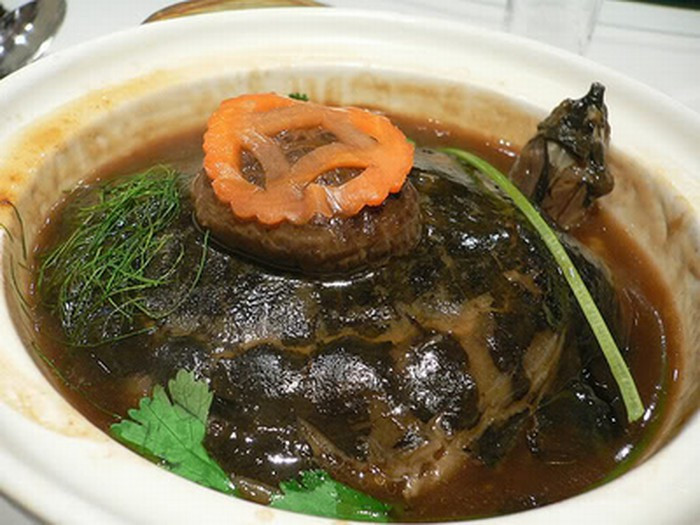 Rùa hầm được giới nhà giàu ngày xưa ưa chuộng vì tính được xem là món ăn rất bổ dưỡng. Nguồn ảnh minh họa. Internet Video: Đại gia Đà Nẵng mua xế 7 tỷ tặng vợ. Nguồn: VTC1