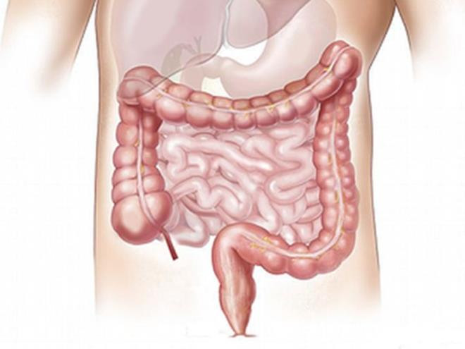 Làm sạch ruột: Uống nước khi bụng đói vào buổi sáng giúp làm sạch ruột, hỗ trợ hệ tiêu hóa và ngăn ngừa táo bón rất tốt.