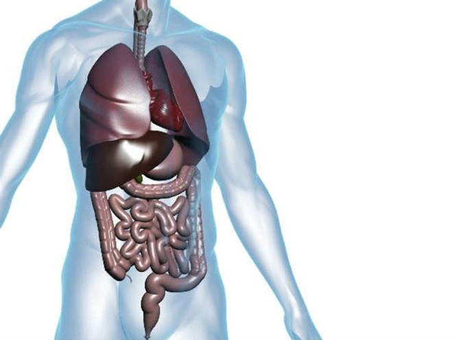 Thải độc tố: Thận rất cần nước để loại bỏ chất thải ra khỏi máu. Vì vậy, bạn cần uống nước vào buổi sáng ngay khi thức dậy để loại bỏ độc tố khỏi cơ thể.