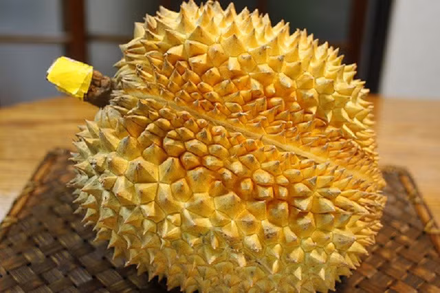 Quả sầu riêng có cơm vàng sữa, hạt lép thì có vỏ màu xanh rêu hoặc màu xanh rêu hanh vàng. Gai sầu riêng cũng cứng và thưa hơn nhiều so với những quả non.