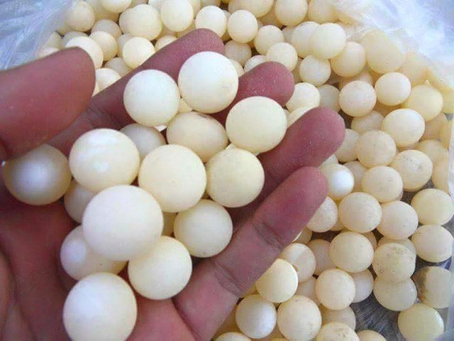 Được quảng cáo là “thần dược” tăng cường sinh lực cho phái mạnh, trứng ba ba trở thành mặt hàng hot nhiều người lùng mua về tẩm bổ cho chồng con. Ảnh: Vietnamnet.