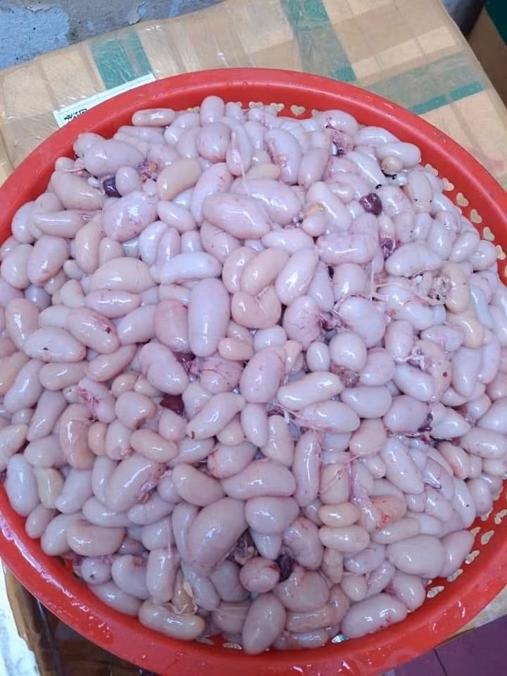 Trước đây, kê chim thường được bán xô với giá khá rẻ, coi như phụ phẩm bán lấy thêm chút tiền. Nhưng vài năm gần đây, kê chim bắt đầu thành hàng hot vì chúng được đồn thổi là món ăn ngon, bổ dưỡng. Ảnh: Lao động.