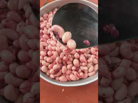 Dù đắt nhưng kê chỉ có ở chim cút trống nên mặt hàng này thuộc dạng khan hiếm. Khách muốn mua phải đặt trước mới có hàng. Ảnh: Youtube.