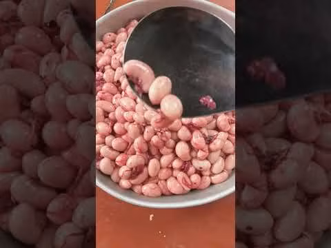 Dù đắt nhưng kê chỉ có ở chim cút trống nên mặt hàng này thuộc dạng khan hiếm. Khách muốn mua phải đặt trước mới có hàng. Ảnh: Youtube.